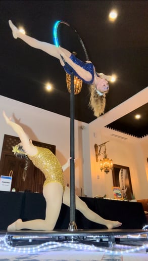 Gallery photo 12 of Aerial Escape