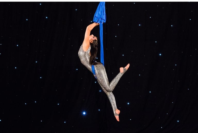 Gallery photo 4 of Tiziana Aerial Hammock