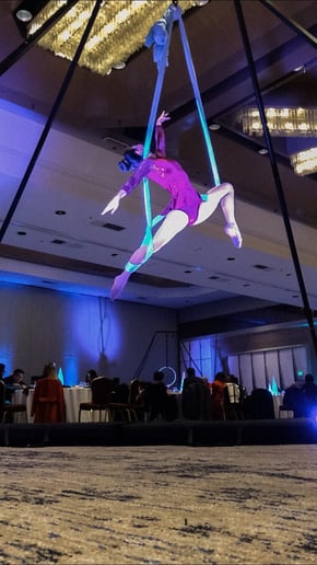 Gallery photo 5 of Aerial Hammock Performance