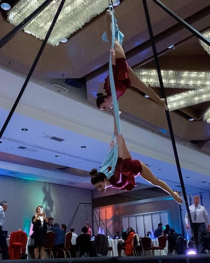 Gallery photo 6 of Aerial Hammock Performance