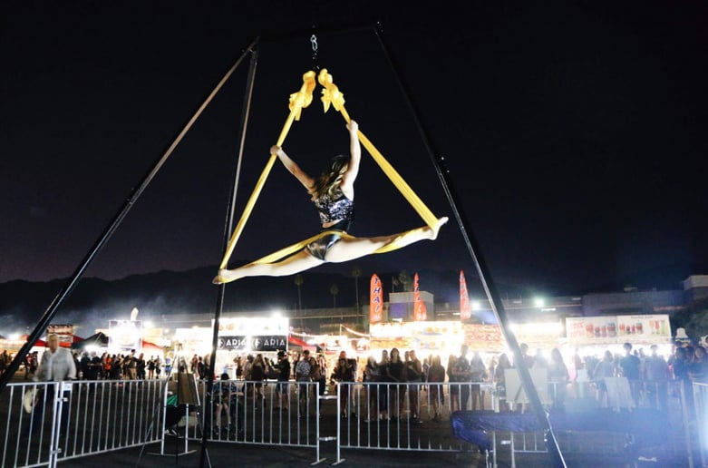 Gallery photo 1 of Aerial Hammock Performance