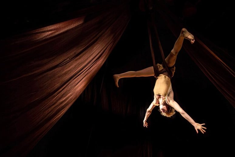 Gallery photo 3 of Aerial Hammock Performance