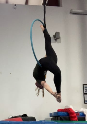 Gallery photo 1 of Shelby's Aerial Hoop/Lyra