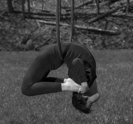 Gallery photo 2 of Aerial hoop/Lyra