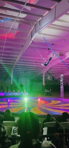 Gallery photo 6 of Aerial hoop/Lyra