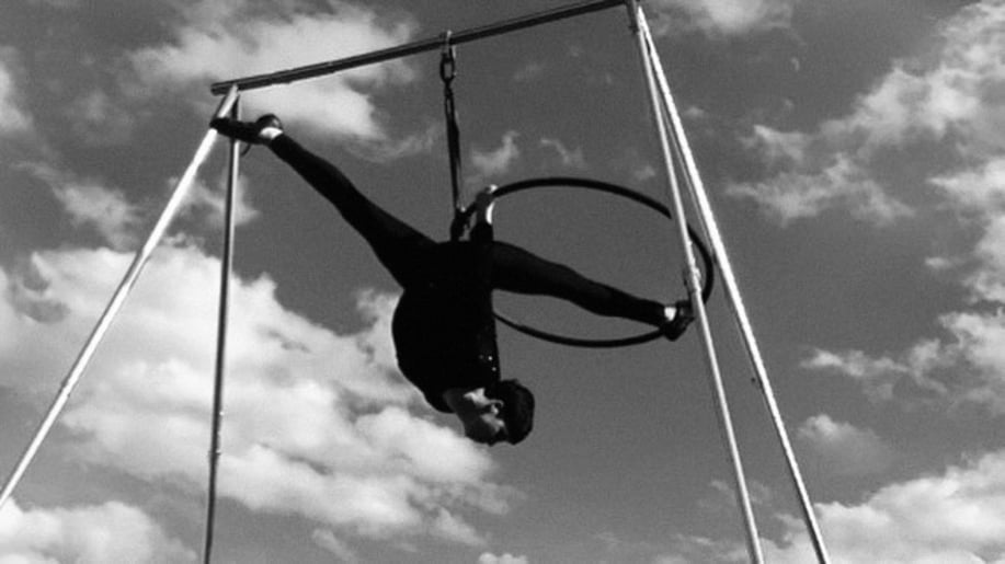 Gallery photo 7 of Aerial hoop/Lyra