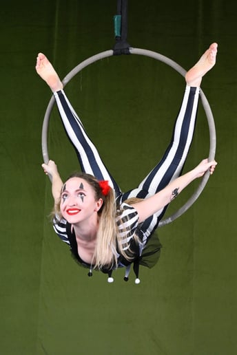 Gallery photo 2 of Aerial Jordy