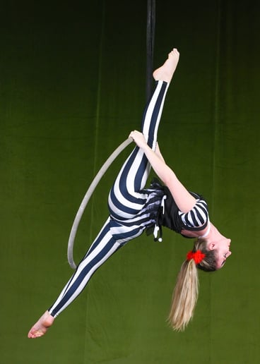 Gallery photo 4 of Aerial Jordy