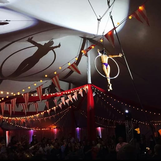 Gallery photo 1 of Aerial Cosmic Hoop