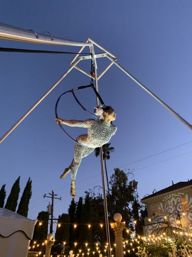Gallery photo 7 of Magician, Stacking Chair Acrobat, Aerialist