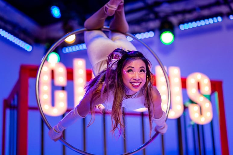 Gallery photo 4 of Magician, Stacking Chair Acrobat, Aerialist