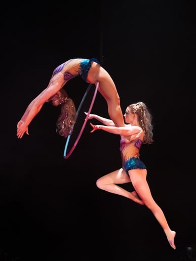 Gallery photo 1 of Lex Janzen's Aerial Performance & Champagne Pouring