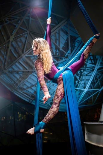 Gallery photo 7 of Lex Janzen's Aerial Performance & Champagne Pouring