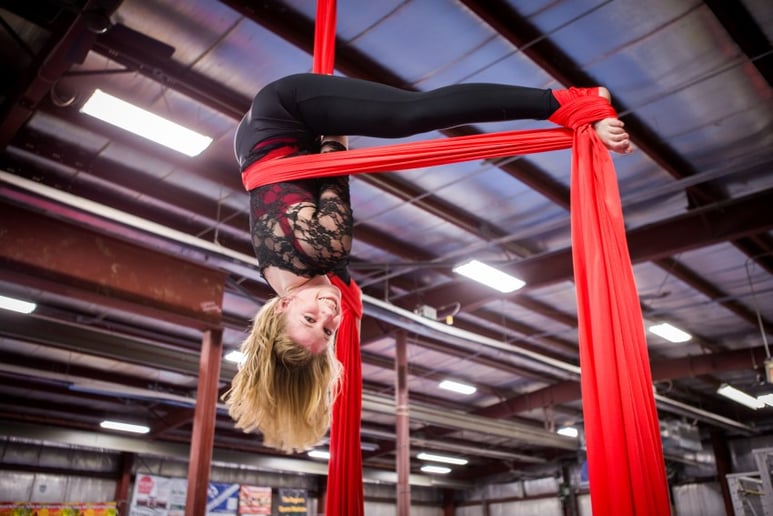 Gallery photo 3 of Aerial Performances