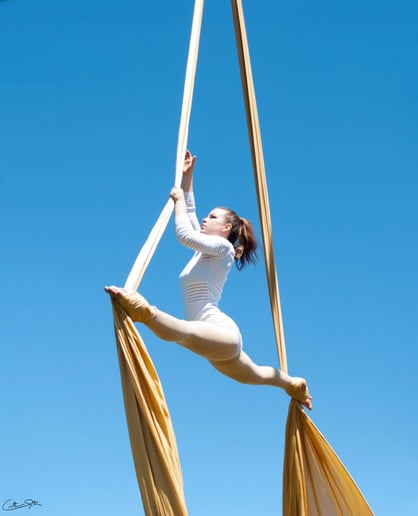 Gallery photo 2 of Aerial Performer