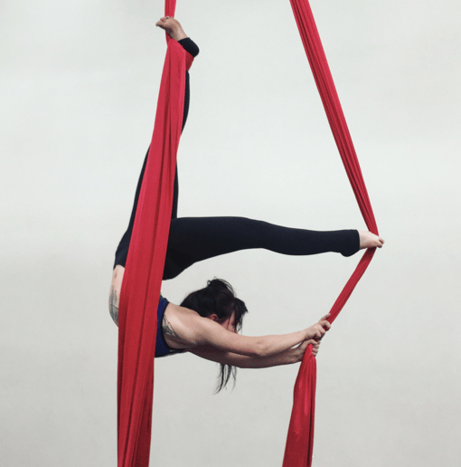 Gallery photo 8 of Aerial Performer