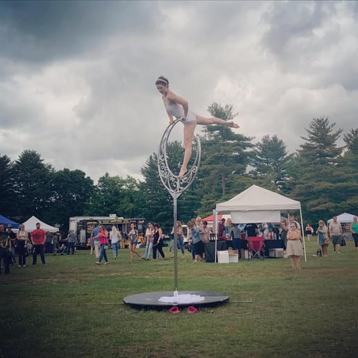Gallery photo 3 of Aerial Pole and Silks Dancer