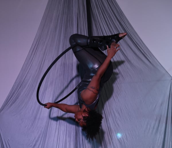 Gallery photo 2 of Aerial Queen