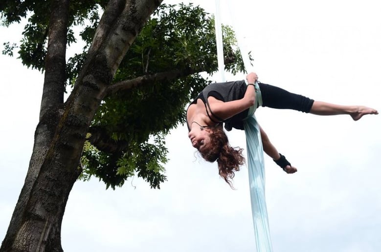 Gallery photo 3 of Aerial Silks, Aerial Rope, Hula Hoop