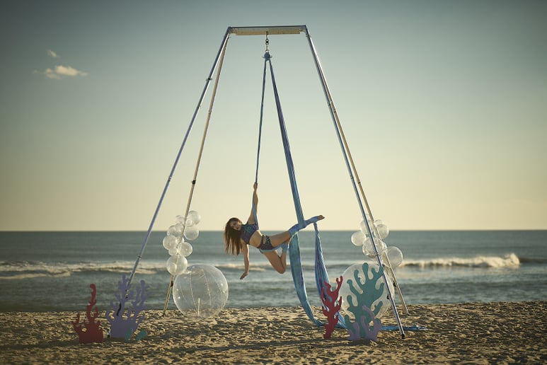 Gallery photo 7 of Jessica Lynn, Aerial and Performance Art