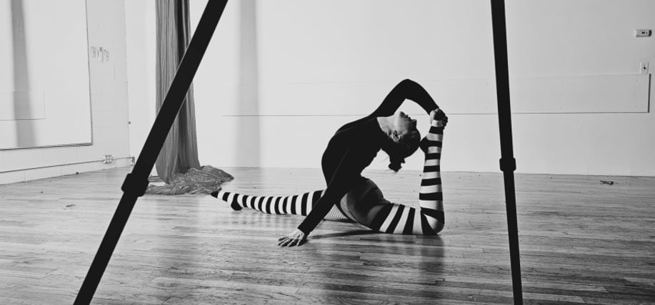 Gallery photo 10 of Jessica Lynn, Aerial and Performance Art