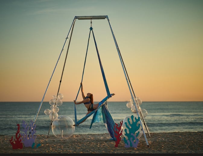 Gallery photo 9 of Jessica Lynn, Aerial and Performance Art
