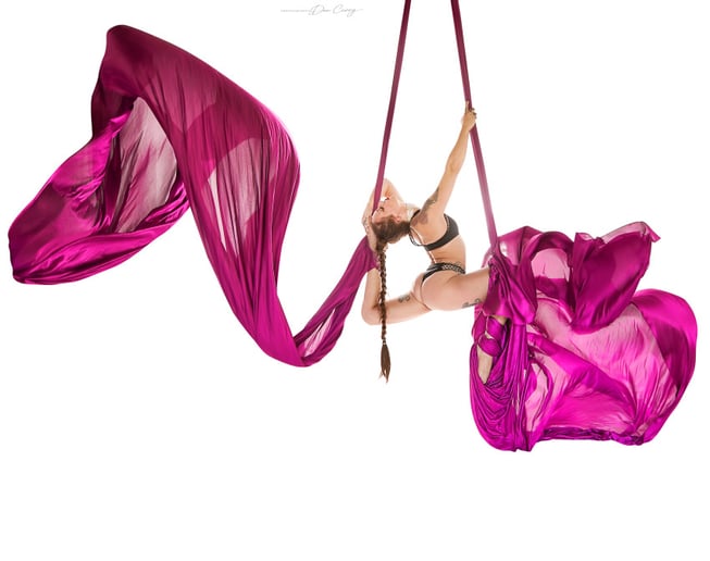 Gallery photo 1 of Jessica Lynn, Aerial and Performance Art
