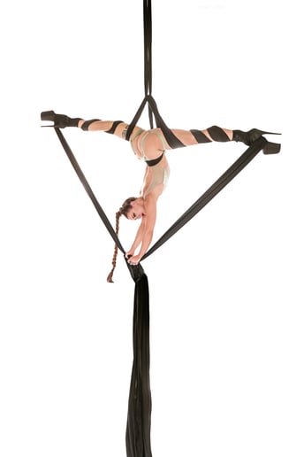 Gallery photo 2 of Jessica Lynn, Aerial and Performance Art