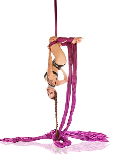Gallery photo 4 of Jessica Lynn, Aerial and Performance Art