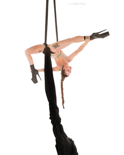 Gallery photo 3 of Jessica Lynn, Aerial and Performance Art