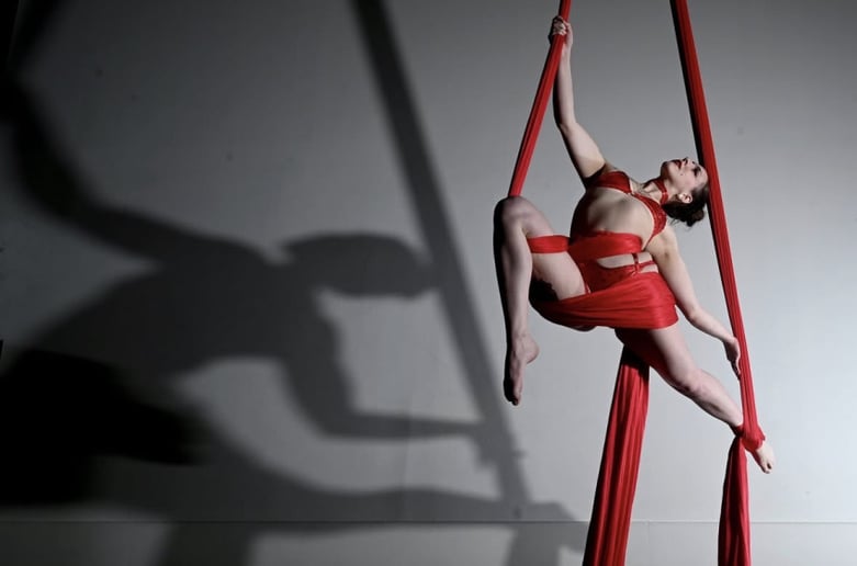 Gallery photo 4 of Jessica Lynn, Aerial and Performance Art