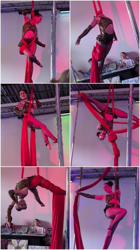 Gallery photo 2 of Jessica Lynn, Aerial and Performance Art
