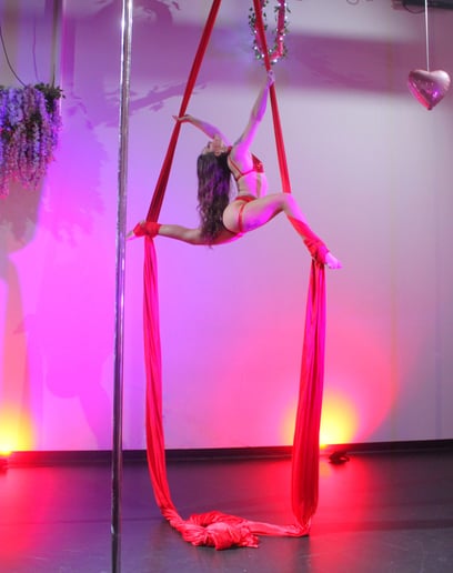 Gallery photo 5 of Jessica Lynn, Aerial and Performance Art