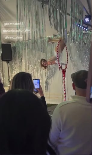 Gallery photo 7 of Jessica Lynn, Aerial and Performance Art