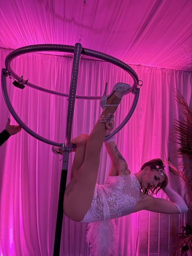 Gallery photo 4 of Jessica Lynn, Aerial and Performance Art