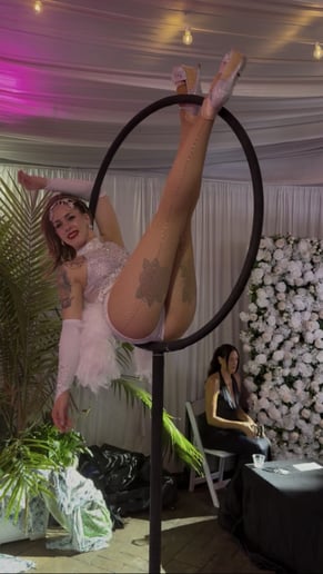 Gallery photo 3 of Jessica Lynn, Aerial and Performance Art