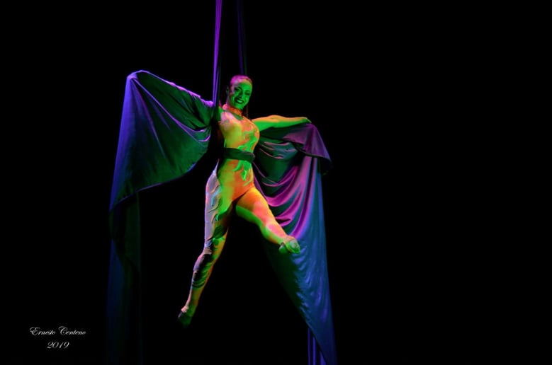 Gallery photo 5 of Aerial Silks