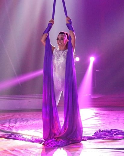 Gallery photo 3 of Aerial Silks