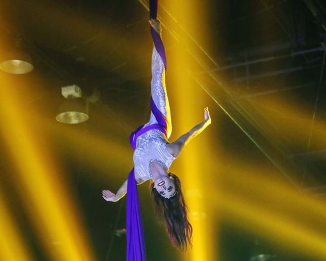 Gallery photo 6 of Aerial Silks