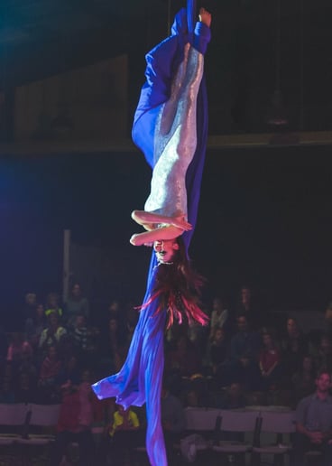 Gallery photo 4 of Aerial Silks