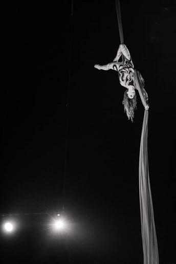 Gallery photo 7 of Aerial Silks