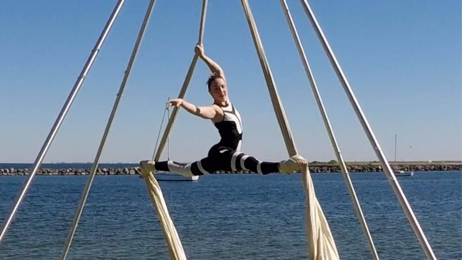 Gallery photo 1 of Aerial Silks,  Lyra, and Pole
