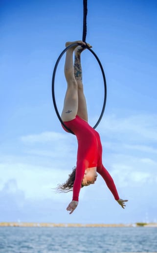 Gallery photo 4 of Aerial Silks,  Lyra, and Pole