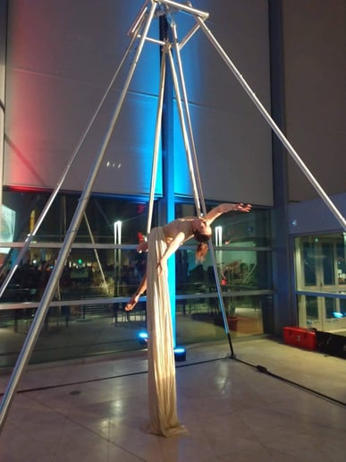 Gallery photo 5 of Aerial Silks,  Lyra, and Pole