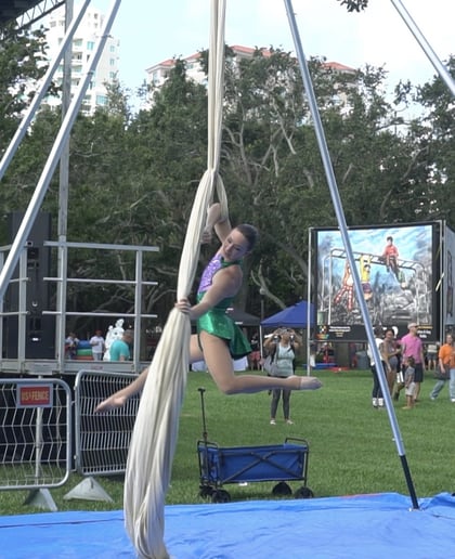 Gallery photo 6 of Aerial Silks,  Lyra, and Pole