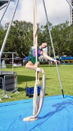 Gallery photo 7 of Aerial Silks,  Lyra, and Pole