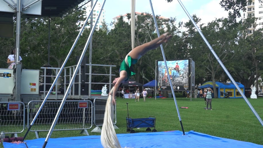 Gallery photo 8 of Aerial Silks,  Lyra, and Pole