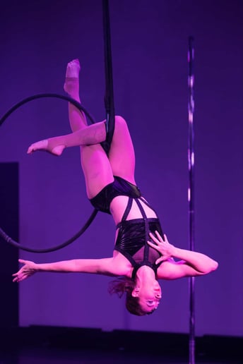 Gallery photo 9 of Aerial Silks,  Lyra, and Pole