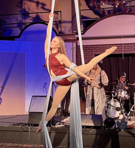 Gallery photo 1 of Aerial Silks, Lyra and Rope performer