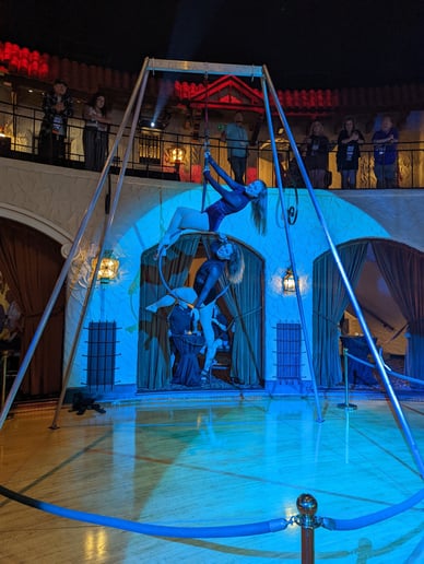 Gallery photo 6 of Aerial Silks, Lyra and Rope performer